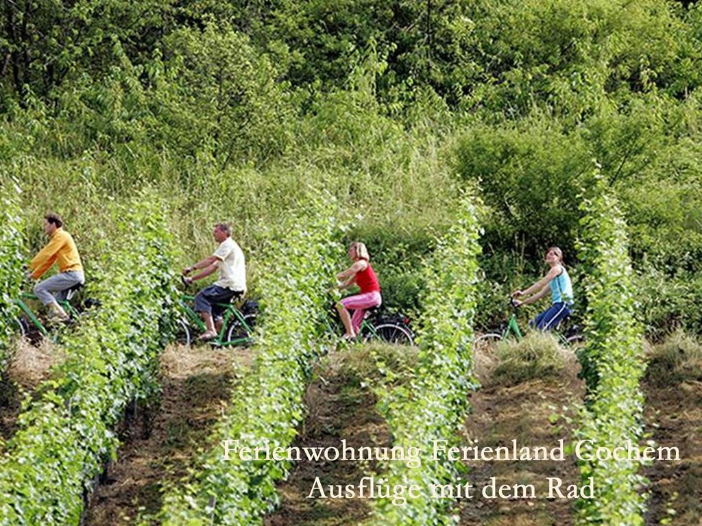 Ferienwohnungen Ferienland Cochem Bruttig-Fankel Eksteriør bilde